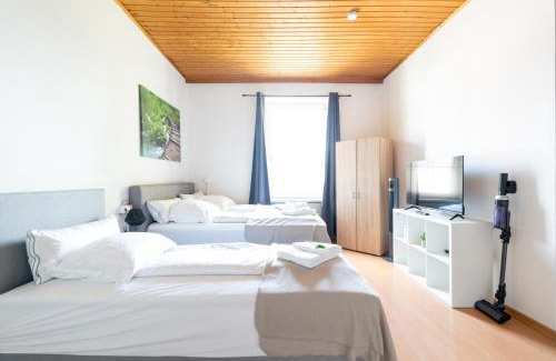 Leoben Apartment | Well-Equipped and Business-Friendly Apartment Near University for Up to 3 Guests