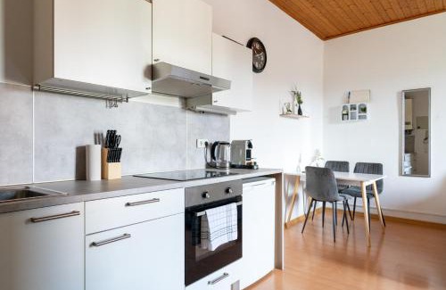 Leoben Apartment | Well-Equipped and Business-Friendly Apartment Near University for Up to 3 Guests