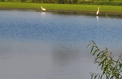 La Center House | West Ky Charm 2/3 bedroom country house nQuilters. Hunters. Fisherman Haven.