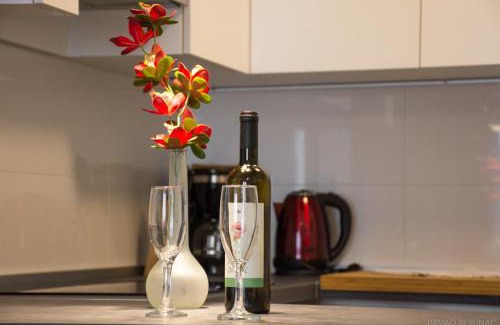 Zagreb Apartment | West Residence Luxury Apartment- parking in garage