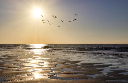 Vlissingen Bed & Breakfast | Westerschelde B&B