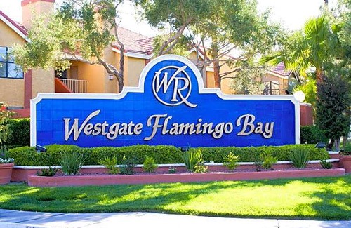 Las Vegas Hotel | Westgate Flamingo Bay Resort