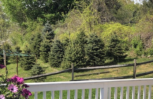 Westport House | Westport In-Town Retreat