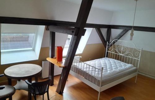 Heide Other | WG-Zimmer in Villendachgeschoß nahe am Bahnhof