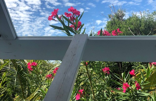 Man O War Cay Cottage | Whale's Tale Cottage- Tropical Island Charm on Man O War Cay With Beach Access