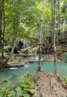 Sumbawa Besar Other | Whale shark private trip