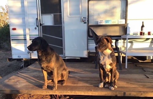 Monticello Apartment | Whether you prefer the rustic charm of tent camping or the comfort of your own vehicle, our campgrounds offer a unique way to connect with nature without sacrificing accessibility. Enjoy the perfect blend of adventure and convenience.