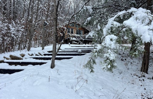 Irvine Cabin | Whimsical Wildwood Studio