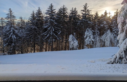 Snowshoe Condo | Whistlepunk 3 - Ski in/Ski out - Easy Slope Access