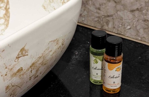 Arambol Hotel | White Tree Resort