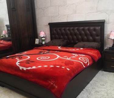 Jerash Apartment | White tulips apartment الزنبقة البيضاء