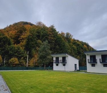 Bistrita Bargaului Other | WhiteBerg Haus Colibita