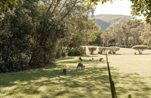 Yaroomba House | Whitehaven - 100m to Beach, Private Pool