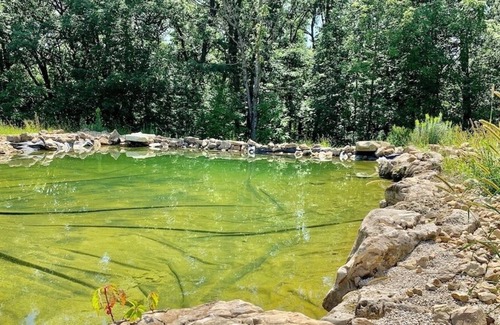 Waterville Cabin | Whitetail Ridge Cabin with Swimming Pond & Hot Tub Jacuzzi
