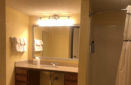 East Bloomington House | Whole home with fireplace next mall of America pen lake