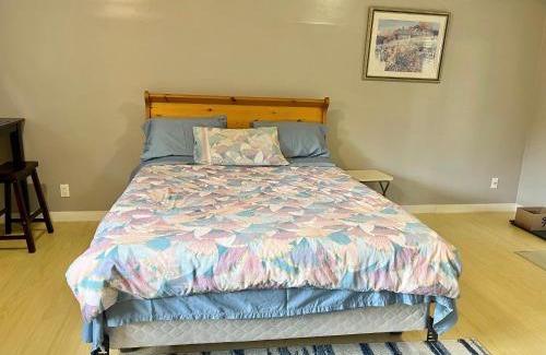 Port Coquitlam Apartment | Whole Suite to Yourself at Coquitlam Centre!