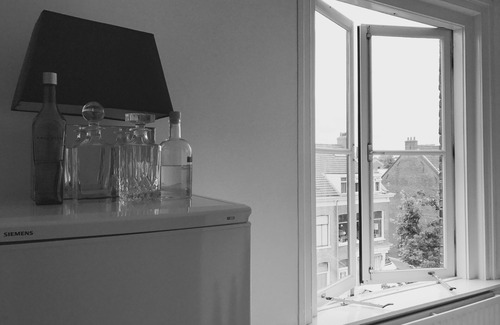 Centrum Apartment | WHS Cozy Lofts Haarlem penthouse apartment