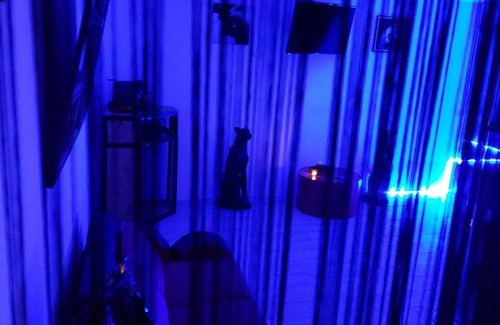Ledignan Hotel | why not