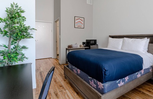 Wicker Park Condo | Wicker Park Condo with Gorgeous Roof Deck by RedAwning