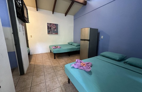 Brasilito Hotel | Wide Mouth Frog Conchal