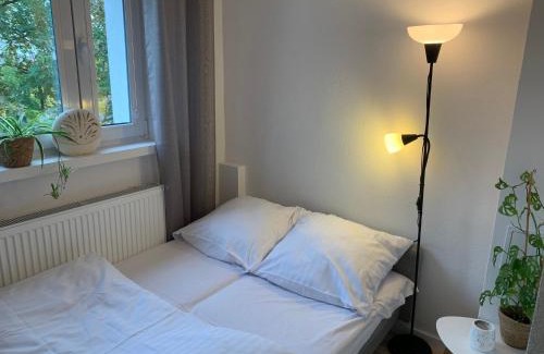 Malbork Apartment | Widok Zamku o poranku