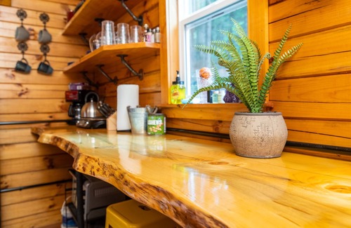 Campton Cabin | WiFi & Waterfront - Cozy Creek - Minimalist Camper's Cabin in Red River Gorge, Kentucky!