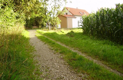 Worth House | Wiflinger Graben Einfamilienhaus