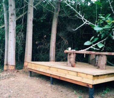 Barrydale House | Wild and off-the-grid with style