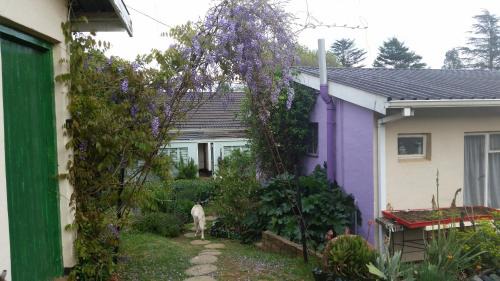 Mooirivier Bed & Breakfast | Wild Berry Guest Farm