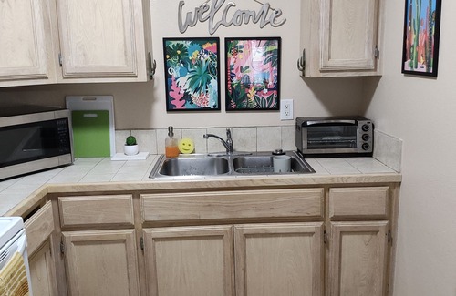 Harlingen Condo | Wild Cactus 🌵