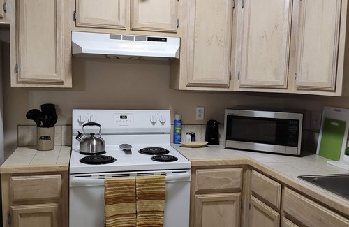 Harlingen Condo | Wild Cactus 🌵