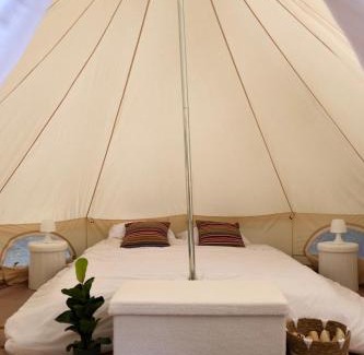 Lasseran Other | Wild Lodge