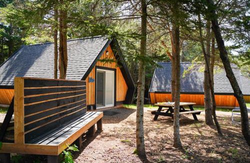 Belfast Other | Wild Pines Cabins