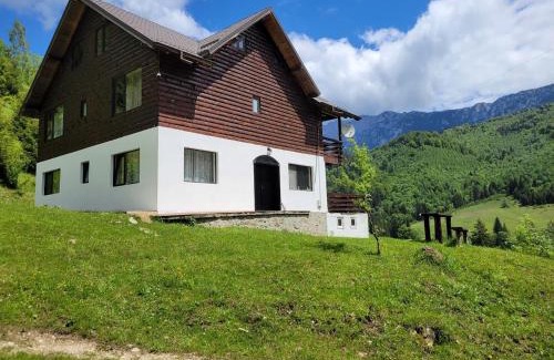 Rucar Cabin | Wild Wolf Chalet