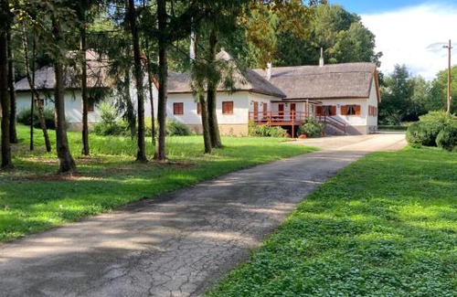 Tamasi Apartment | Wildente Vadászház