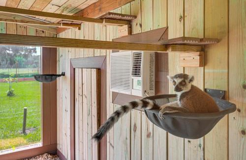 Webster House | Wildlife Sanctuary On-Site Modern Webster Home!