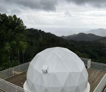 Lakkidi Other | Wildscape Resort