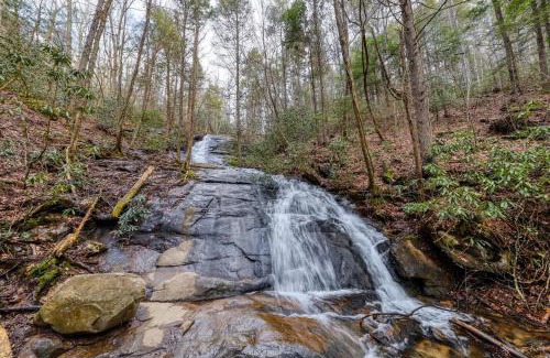 Mineral Bluff House | Wildwood River Retreat