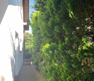 Zurawica Villa | Willa 250 M z basenem, jacuzzi, ogrodem , tarasem oraz 2 hektary sadu , kominek i inne atrakcje