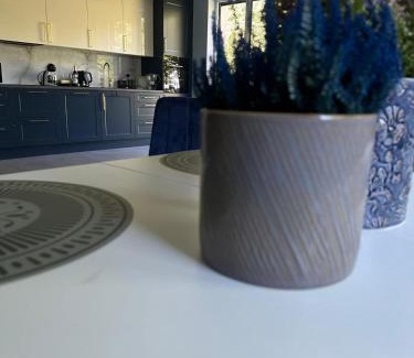 gmina Dobromierz Apartment | Willa Daisy