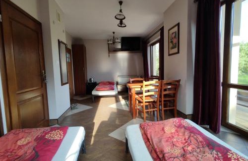 Dwikozy House | Willa Dzika Róża