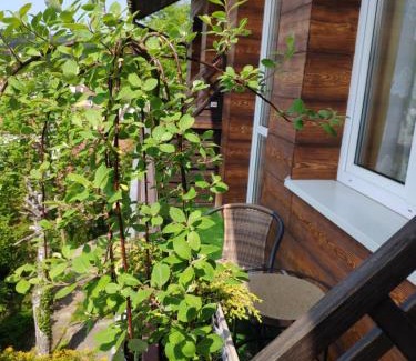 Krynica-Zdroj Resort | Willa Jasna