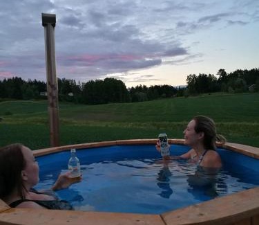 Laukkoski Bed & Breakfast | Willa Mustijoki