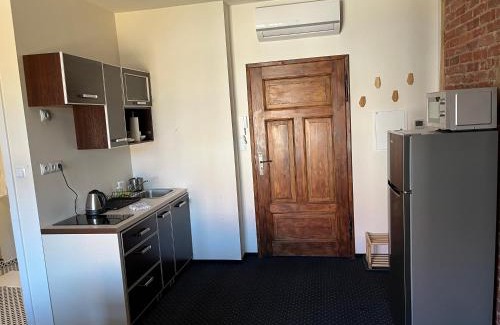 Zielona Gora Apartment | Willa w Centrum