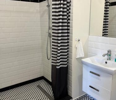 Zielona Gora Apartment | Willa w Centrum