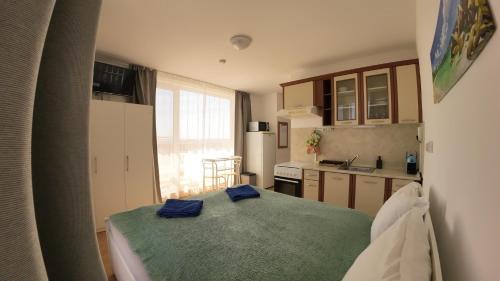 Sveti Vlas Apartment | William's apartments - second cozy studio