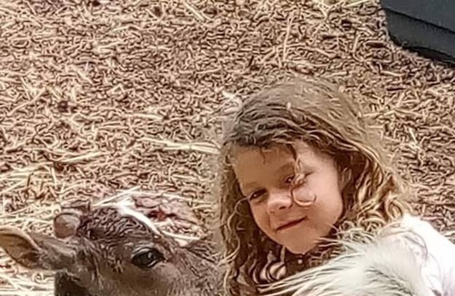Williston Other | Williston Fl Petting Zoo 10 minutes to Blue Grotto