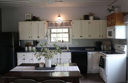 Advance House | Willow Acres- 2BD/2BA w/BBQ and outdoor patio