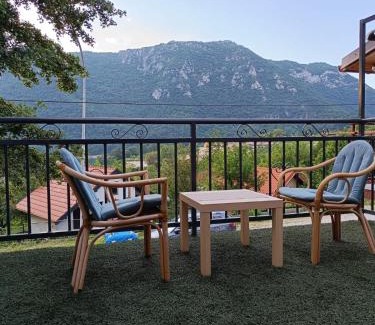 Pluzine Apartment | WIN apartment