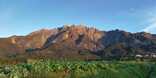Kundasang House | Wind Valley Farmstay